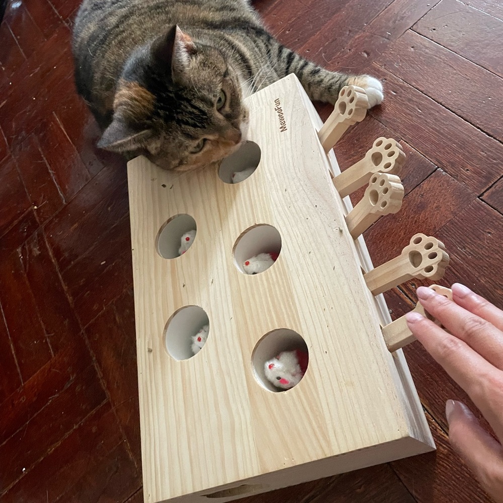 Wooden Whac-A-Mole Toy for Cat
🧸 Make your cat smart & fun 🤩